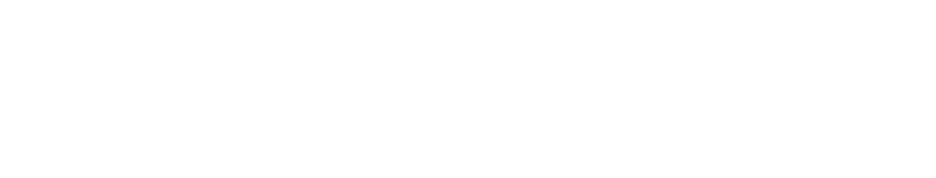 Liberi Network
